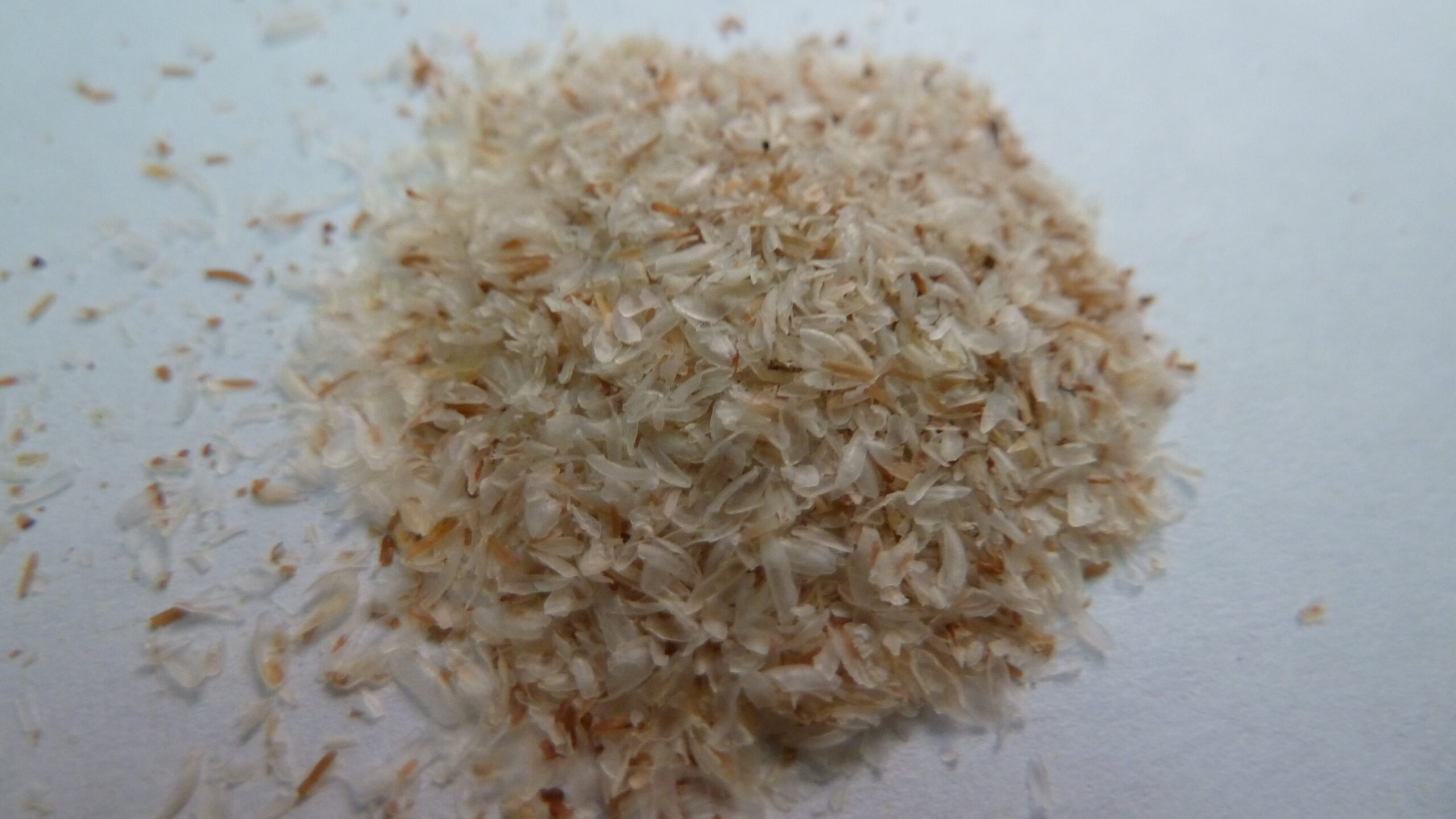 Psyllium: Benefícios Reais para o Emagrecimento Saudável